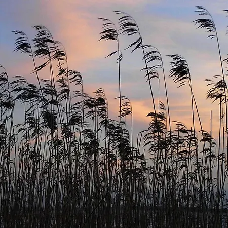 Holthus Διαμέρισμα