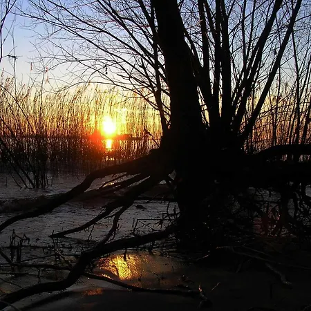 Διαμέρισμα Holthus Kollmar